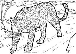 Leopard activities and crafts related coloring pages: Coloring Page Leopard Animals Free Coloring Pages