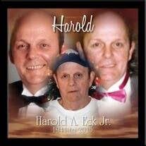 Harold A. Eck Jr. Obituary