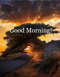 Good Morning Good Morning Quotes Good Morning Beautiful Images Good Morning Friends Images
