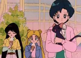 sailormoon おしゃれまとめの人気アイデア pinterest ｓｗｅｅｔ セーラーマーキュリー セーラームーン うさぎ