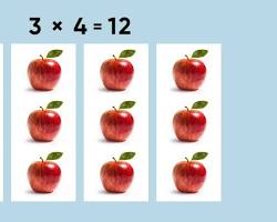 Image of two groups of eight objects, each group further divided into two groups of four objects