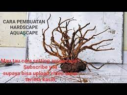 Membuat Bonsai Aquascape Sederhana 4 Youtube Aquascaping Bonsai