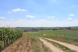 Über einen markierten zubringerweg kommen sie bei schrattenberg zum ca. Details Lebens Wertes Weinviertel