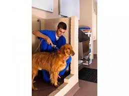 Welcome to animal hospital highway 6. Virtual Tour