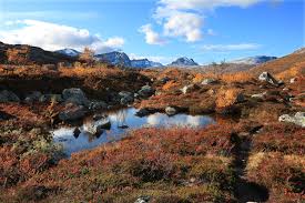 The village is located at the junction of the european route e06 and the norwegian national road 70. Oppdal Kommune Home Facebook