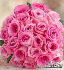 صور رومانسية اخر حلاوة صور ورد جوري ازرق صور ازهار زرقاء جوري 2017 صورورد جديدة Rose Wedding Bouquet Pink Rose Wedding Bouquet Pink Rose Bouquet