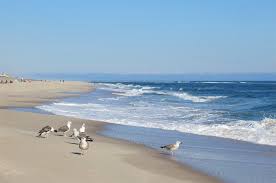 Another thing that makes southampton special is how. 12 Top Rated Beaches In The Hamptons Planetware