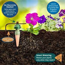 Buy Blumat Automatic Watering System For 5 Plants Starter Kit Fully Automatic Drip Irrigation Kit No Electricity No Batteries Required Garden Patio Hanging Baskets Raised Bed Greenhouse Sustainable Outdoor