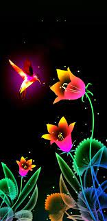 We did not find results for: Colorful Hummingbird Flowers Wallpaper Hummingbird Wallpaper Abstract Iphone Wallpaper Neon Flowers