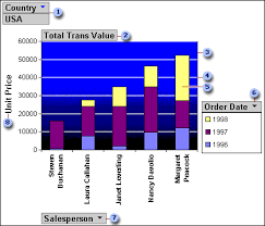 Create Pivottable Or Pivotchart Views In An Access Desktop