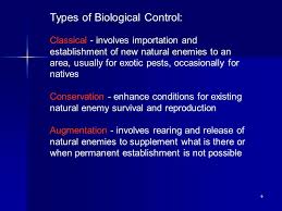 Augmentative biological control is also called augmentation is the release of large numbers of insectary reared natural enemies with the goal of augmenting natural enemy populations or inundating pest populations with natural enemies. 1 Definition And Scope Of Biological Control 2 Biological Control The Action Of Parasites Predators Or Pathogens In Maintaining Another Organism S Ppt Download