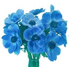 Get deals with coupon and discount code! Blue Flowers For Weddings Bulk Blue Flowers Blue Wedding Flowers