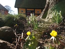 Many thanks to Mary Pries-Morrison for creating video of the beautiful  flowers and grounds at Gammelgården Museum of Scandia. Looking forward to  seeing the colorful flowers again in a few months!