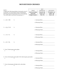 Dubay literally brings genetics to life in this real cross of two solid coat mice as he walks you through the use of a punnet grid and uses appropriate. Worksheet Genetics Monohybrid Crosses