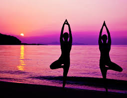 A set of yoga postures female figures for infographic 6 yoga poses for arm balances hand standing. Yoga Can Also Enhance Your Beauty Inner And External