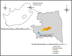 Image result for Cienfuegosia hildebrandtii