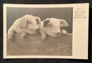 vintage Postcard of two pigs black and white piglets antique ...