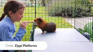 Rabbit And Guinea Pig Runs Platforms Zippi Platforms Omlet Pet Products Youtube