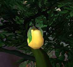 Fruta Estranha Amadurecida Item World Of Warcraft