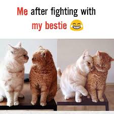 After Fight With Bestie Funny Fights Best Friends Funny Friend Fight Quotes