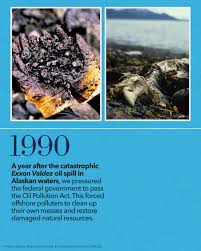 Image result for Dark Blue 1990 US Government