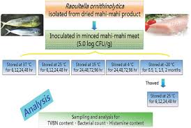 Raoultella ornithinolytica is a pathogen causing an increasing number of pediatric infections. Histamine Production By Raoultella Ornithinolytica In Mahi Mahi Meat A By C S Lin H F Kung Et Al