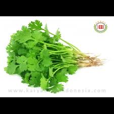 Check spelling or type a new query. Jual Daun Ketumbar Daun Wansui Cilantro Coriander Leaves Pt Karya Baru Indonesia Jakarta Indotrading