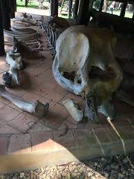 chiang rai black house 清莱黑屋 chiang mai travel chiang mai chiang rai