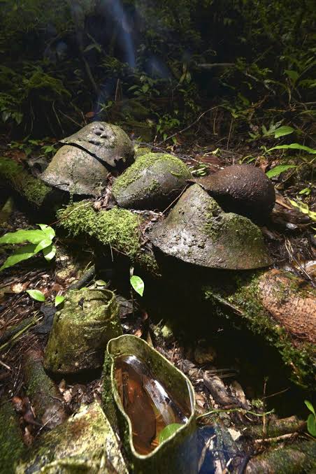 終戦 戦後80年:今なお続く戦没者の遺骨収集…ペリリュー島に眠る2400柱、少しでも早く肉親の元へ : 読売新聞