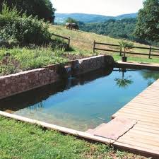 10 Questions Sur Les Piscines Naturelles