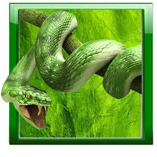 You just need to download our live wallpapers . Snake Live Wallpaper 1 14 Download Android Apk Aptoide