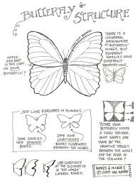 Tutorial Tips On Drawing A Butterfly Butterfly Drawing Drawings Butterfly Art