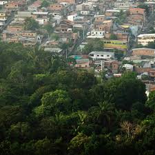 32,200 likes · 86 talking about this. The Jungle Metropolis How Sprawling Manaus Is Eating Into The Amazon Cities The Guardian