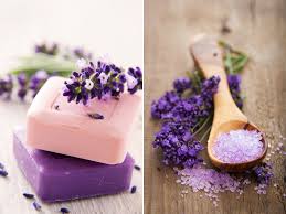 Lavendel Kreativ Gartenzauber Lavendel Lavendel Rosen Lavendel Rezepte