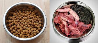 Raw Dog Food Analysis A New Feeding Trend Woof Whiskers
