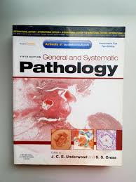 Fly high 3 activity book (wb) pdf. General And Systemic Pathology By Underwood Textbooks On Carousell