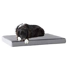 Further, many orthopedic dog beds incorporate memory foam into their design to help give them the full orthopedic effect! Top 10 Best Of Serta Orthopedic Dog Beds 2021 Bestgamingpro