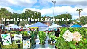 Huge Plant Haul Mount Dora Plant And Garden Fair Youtube