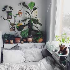 Can We Make Plant Collages A Thing Comfy Bedroom Bedroom Decor Home Decor
