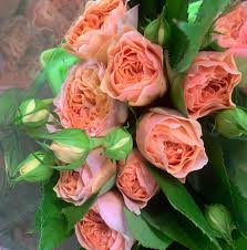 On its way to make your clients happy and fulfill their dreams. Cali Wholesale Posts Facebook