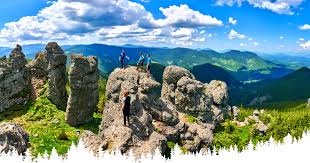 Marcat cu punct rosu si lungime de 3 km cu diferenta de nivel de 500 m traseul face posibil accesul spre creasta calimanului prin vf. DrumeÈii DescoperÄ Èara Dornelor