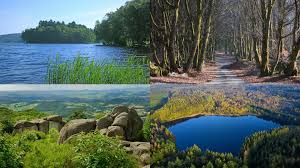 He moved to germany at eighteen, where he met future milli vanilli. Le Morvan Garde Son Statut De Parc Naturel Regional Jusqu En 2035