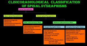 Image result for Spinal Dysraphism