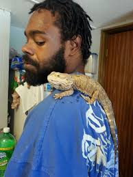 my baby Jack he's a rescue 3 years old