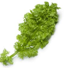 Mustard plants will seldom grow taller than 3 feet high. Mustard Greens Wasabi Seeds The Seed Collection