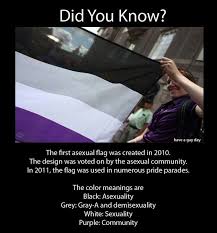Black And White Flag Meaning Sexuality Pin On Asexuality And Aromanticism
