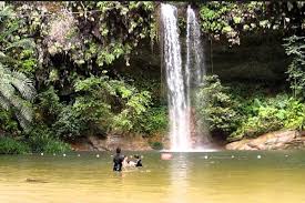 Trekking at lambir hills national park. What To See At Lambir Hills National Park Travell Hub