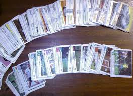 Vlad si cosmin sunt colectionari de timbre. Colectii De Surprize Nwradu Blog