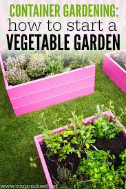 To start a garden the right way, plan ahead by testing the soil and cultivating the ideal soil conditions for the plants you choose. Container Gardening How To Start A Vegetable Garden