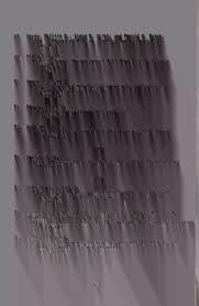 Image result for Trichoneura schlechteri